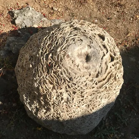 Museum Gurra * Tepelene